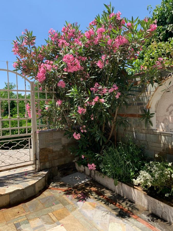 Gemuetliches Appartement In Ano Poli Thessaloníki Exteriör bild