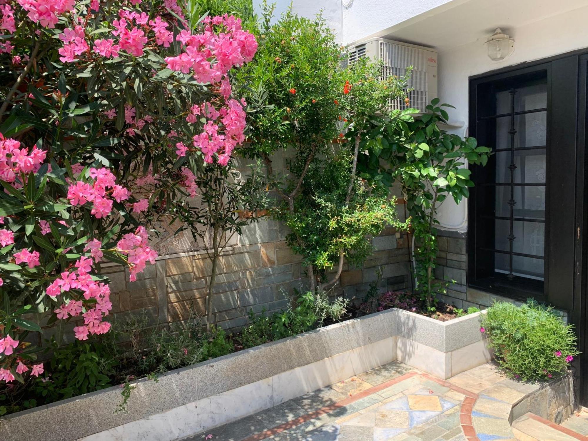 Gemuetliches Appartement In Ano Poli Thessaloníki Exteriör bild